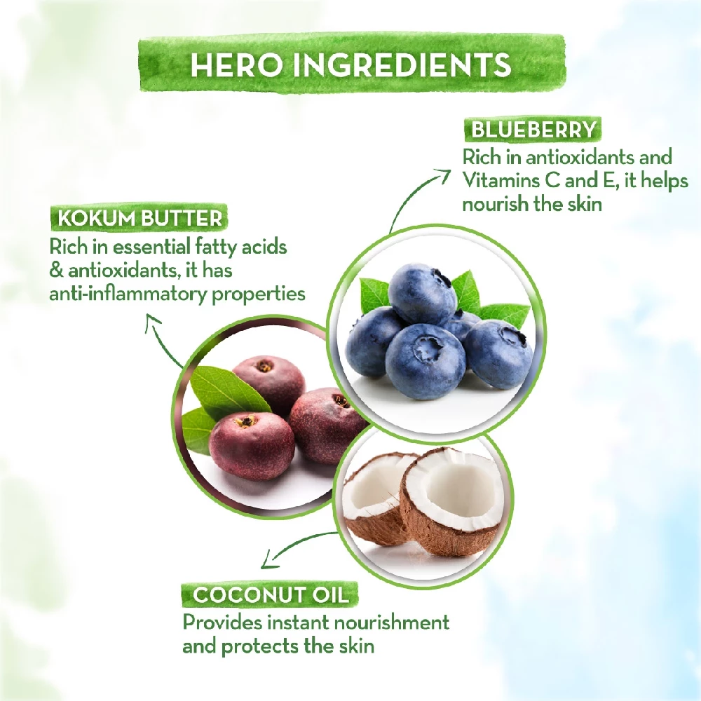 Brave Blueberry Body Lotion For Kids with Blueberry and Kokum Butter, 400 ml-4.webp